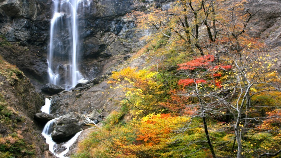 "Route des "momiji" (route des érables) en automne, entre Kanazawa et Takayama "