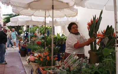 Marché aux fleurs de Puerto de la Cruz