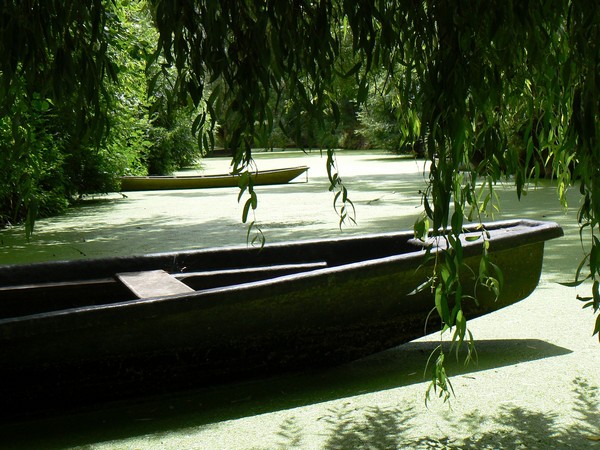 Du Marais poitevin à Noirmoutier, voici quelques perles de Vendée !