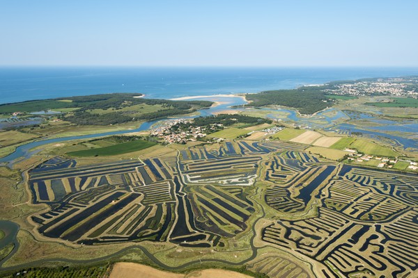 Du Marais poitevin à Noirmoutier, voici quelques perles de Vendée !