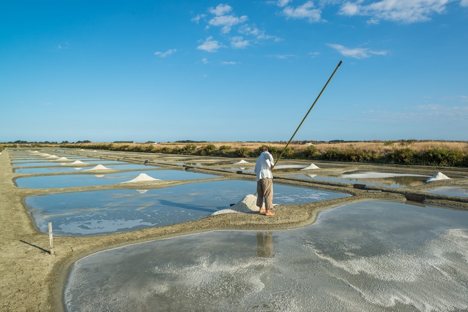 Du Marais poitevin à Noirmoutier, voici quelques perles de Vendée !