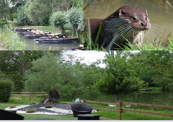 Du Marais poitevin à Noirmoutier, voici quelques perles de Vendée !