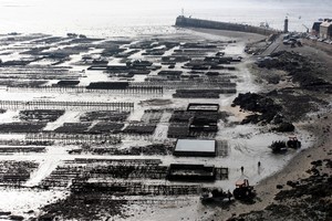 Cancale, parc à huîtres