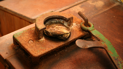 Le Cancalien est un instrument specialement conçu pour ouvrir les huîtres plates Le Cancalien est un instrument specialement conçu pour ouvrir les huîtres plates