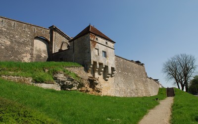 Portes de l'Hôtel de Ville de Langres