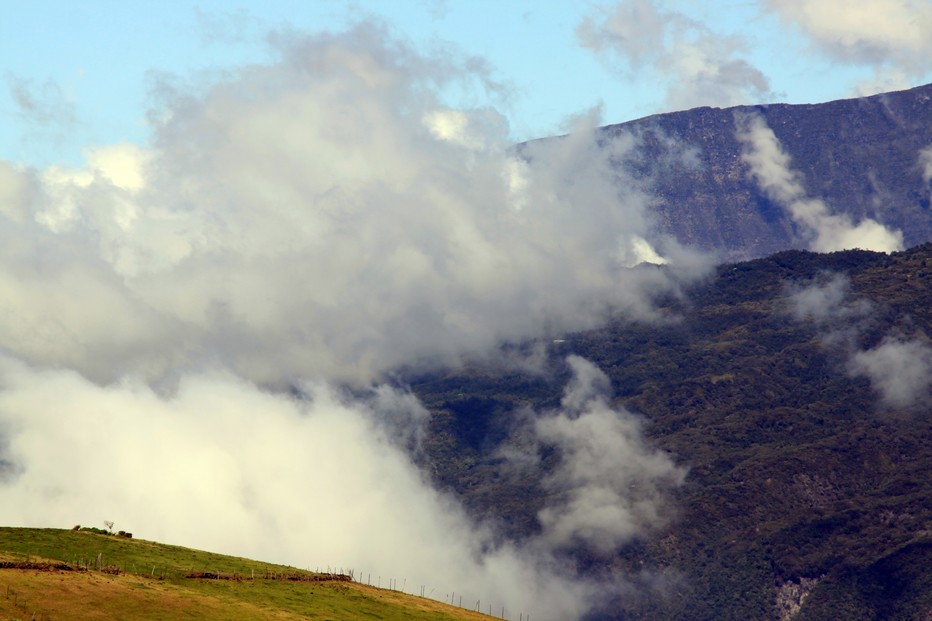 La Réunion : Un peu de verdure et vue sur un paysage lunaire. @ David Raynal La Réunion : Un peu de verdure et vue sur un paysage lunaire. @ David Raynal