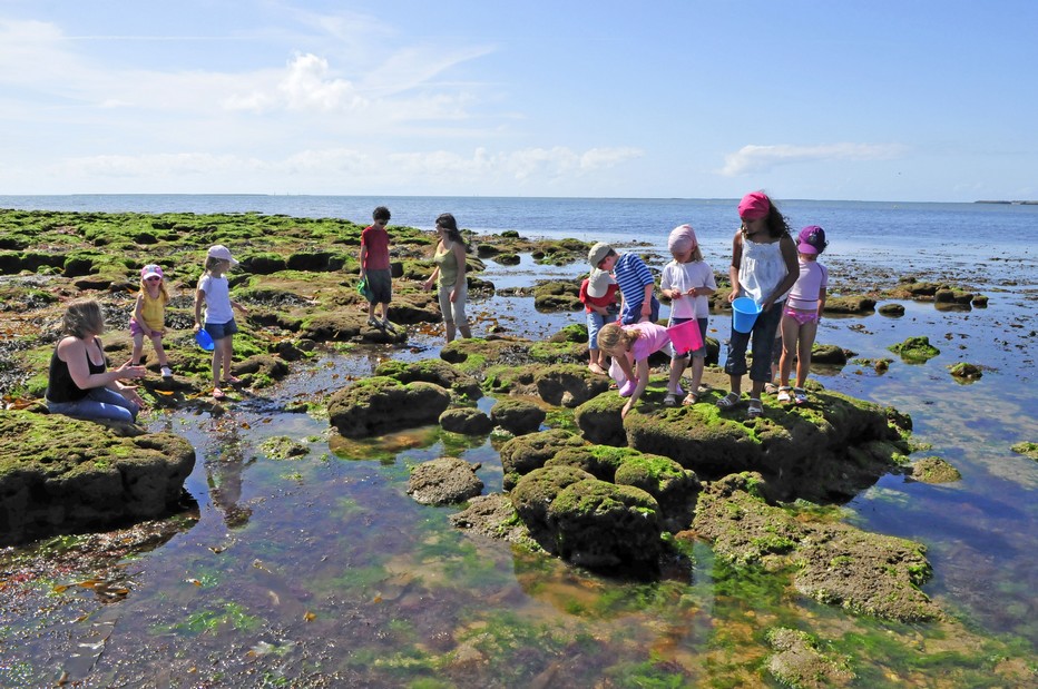 Cap France Noirmoutier : Une multitude d’activités pour petits et grands. Pêche à pied dans les rochers Club enfants_©4 Vents