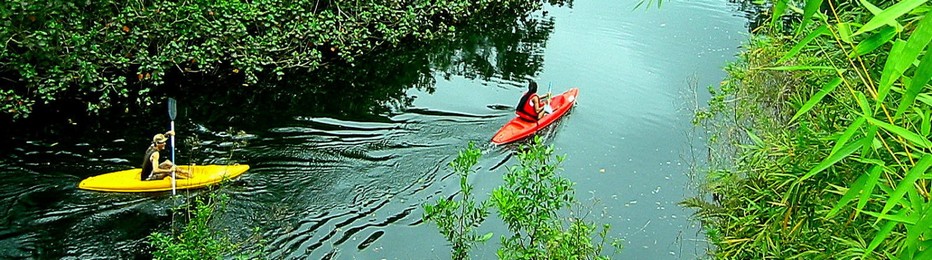 De nombreux voyageurs viennent en Thaïlande parce qu’ils veulent participer à l’écotourisme et même à des activités qui favorisent la préservation de la durabilité culturelle et naturelle; @tourismevert.com