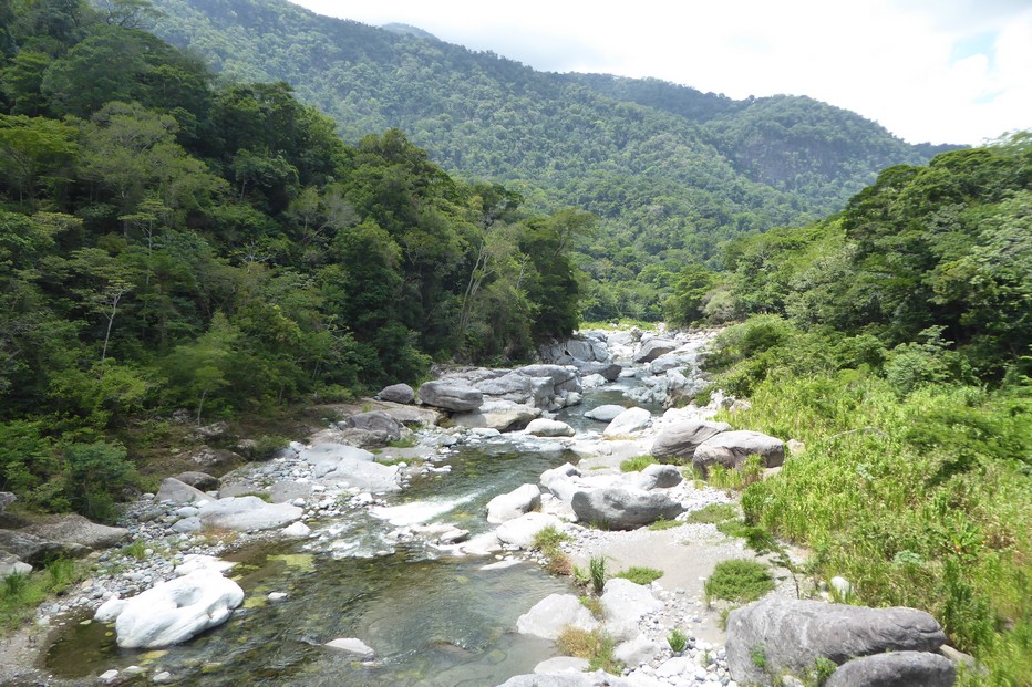 La Ceiba @ CG