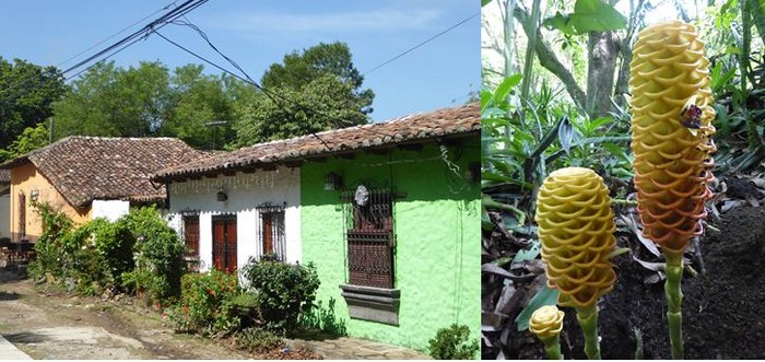 Village sur la Route des fleurs; @ C.G.