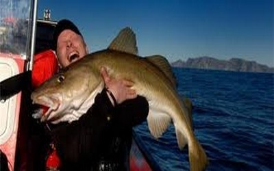 Pêcheur de Skrei dans la Mer de Barens (Norvège)