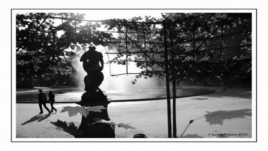 Promenade dans un parc de Bruxelles(Copyright Aurélien Valdoire) Promenade dans un parc de Bruxelles(Copyright Aurélien Valdoire)