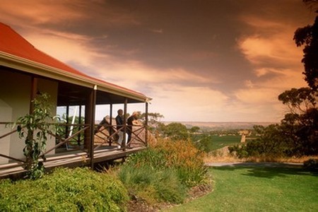 Vignes australiennes (photo O.T. Australie)