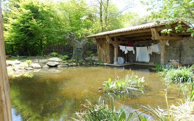 Le chêne et le roseau Le chêne et le roseau