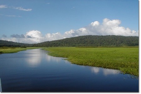 Les marais de Kow (Photo Ashani)