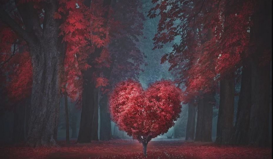 A la Saint-Valentin on n’oublie pas ami(e) ou conjoint ! @ lLindigomag/Pixabay A la Saint-Valentin on n’oublie pas ami(e) ou conjoint ! @ lLindigomag/Pixabay