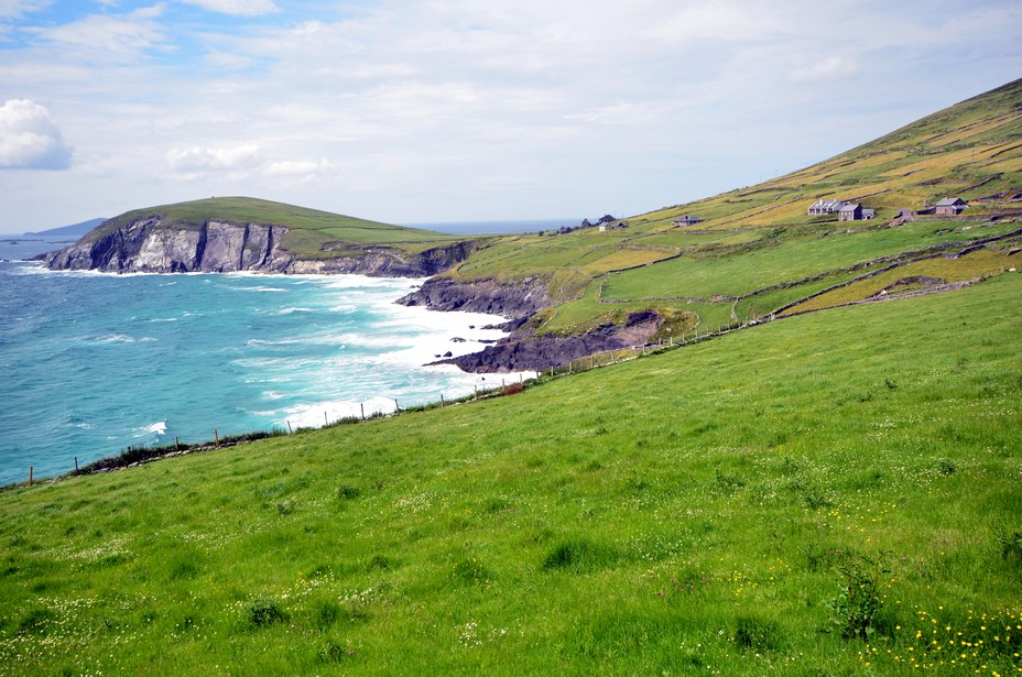 Les paysages verdoyants et maritimes de la presqu'île de Dingle. Crédit photo David Raynal