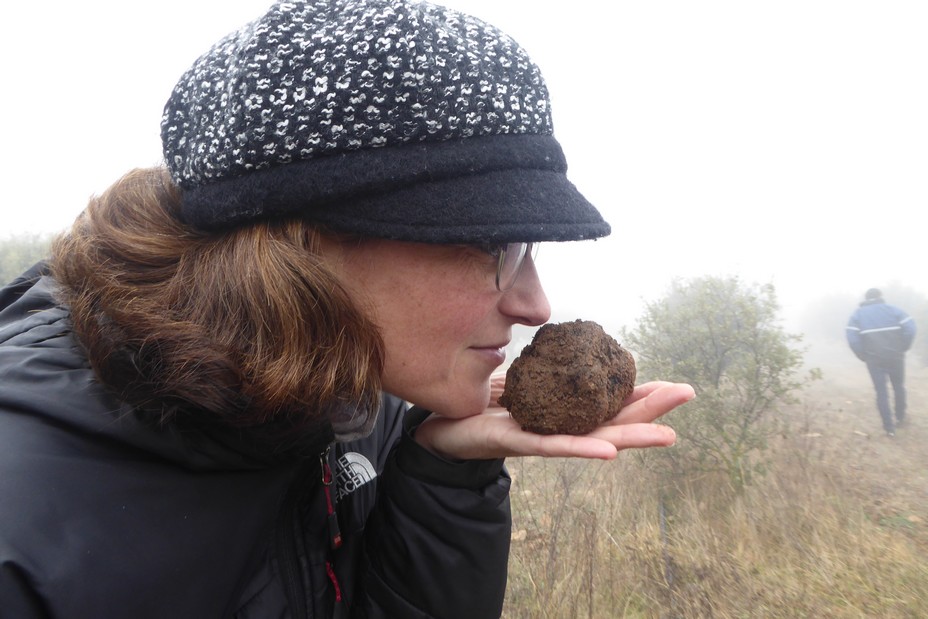 L'art de caver la truffe. @ C.Gary L'art de caver la truffe. @ C.Gary