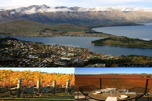 1- Queenstown au bord du lac  Wakatipu. 2 - Moutons région de Malborough  3 - dans cette même région les plus beaux vignobles de NZ, ici le Brancott Estate.