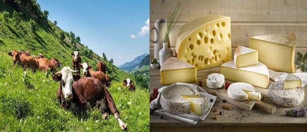 Abécédaire, pour gourmets, des spécialités  made in Savoie !