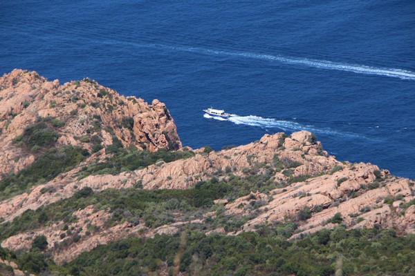 Au 6e  rang mondial des compagnies de ferries en capacité de couchages et au 9e rang en capacité de transport de passagers, Corsica Ferries est une entreprise de dimension européenne basée à Bastia. Ici, une vue de la réserve de Scandola. @ David Raynal