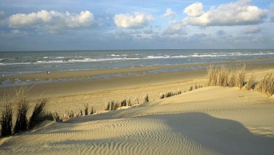 Dunes sur la Côte d'Opale