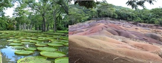 Jardin Pamplemousse, Collines aux Sept couleurs (Copyright Alain Prévost)