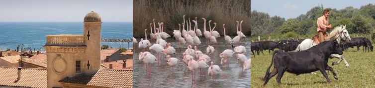 Camargue : Tourisme aux  Saintes Maries de la Mer et  plaisir des sens  aux Arnelles