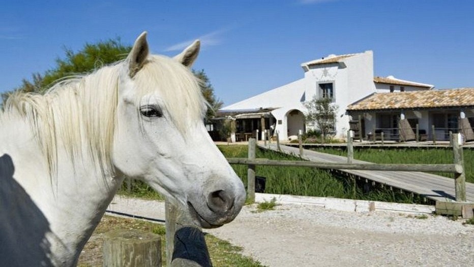 Camargue : Tourisme aux  Saintes Maries de la Mer et  plaisir des sens  aux Arnelles