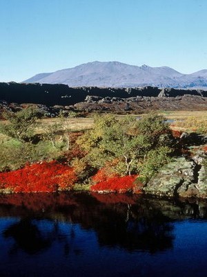 Parc de Thingvellir (copyright Rafn Hagnfjord) Parc de Thingvellir (copyright Rafn Hagnfjord)