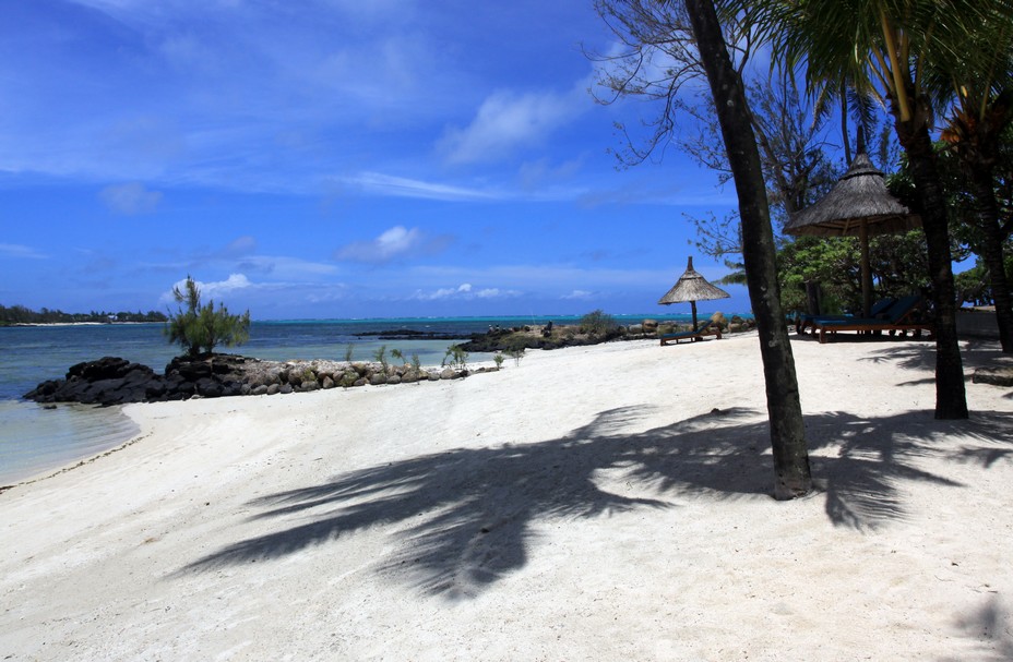 La plage de l'hôtel Constance Prince Maurice*****. De par sa riche biodiversité tropicale, la grande forêt de mangrove indigène (Rhizophora Mucronata) et la réserve de poissons protégée du barachois, la faune et la flore qui entourent l'hôtel Constance Prince Maurice sont uniques à Maurice. @ David Raynal