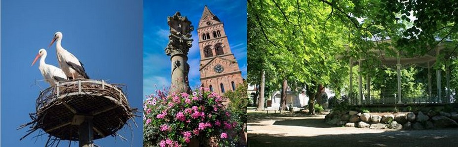 De gauche à droite : Retour des cigognes au printemps @ OT Munster; temple protestant et la fontaine au lion  @ Samuel Wernain ;  jardin anglais conçu par les Hartmann, la famille d’industriels du textile locale qui a redynamisé la ville au siècle dernier.. @ OT Munster