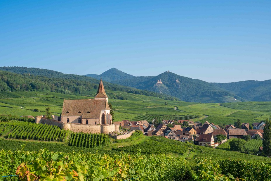 Entre la vallée de Munster et les villages de Riquewihr et Ribeauvillé, l’Alsace révèle sa belle diversité