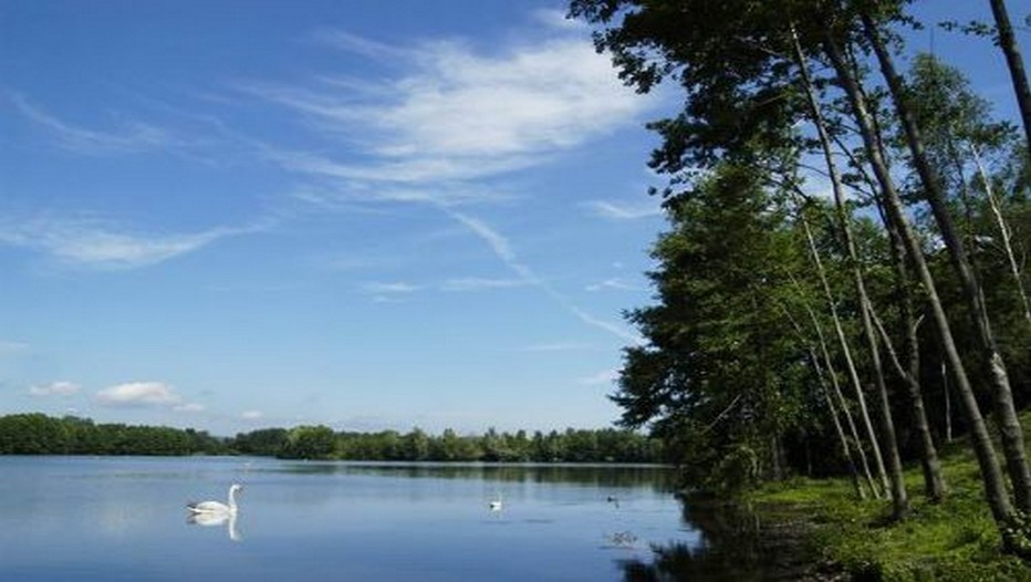 Etang de Haumont à Saint-Dié-des-Vosges