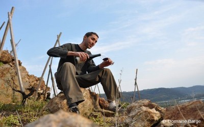 Vallée du Rhône : le vignoble de la Côte-Rôtie une légende bien vivante.