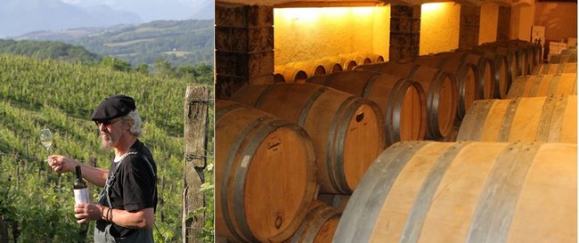 Jean Bernard Larrieu Le Clos Lapeyre  et  Les caves de Jurançon au Clos Lapeyre.@C.Gary