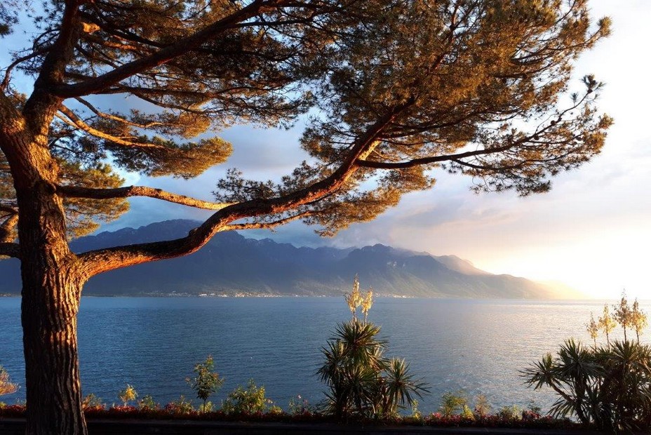 Riviera vaudoise, la douceur de vivre !