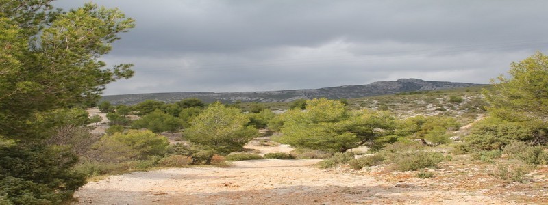 Aubagne, écriture cinéma et nature sauvage sous le regard de Pagnol !