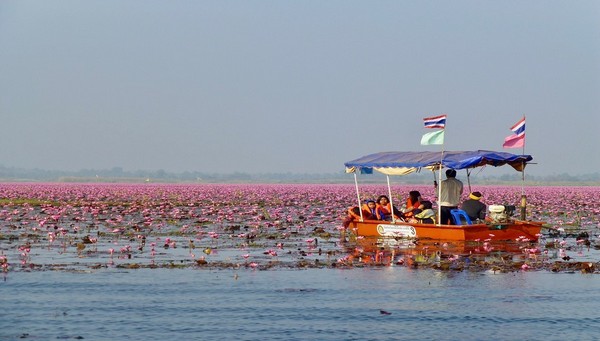 Focus sur... Isan, les merveilles d’une Thaïlande méconnue