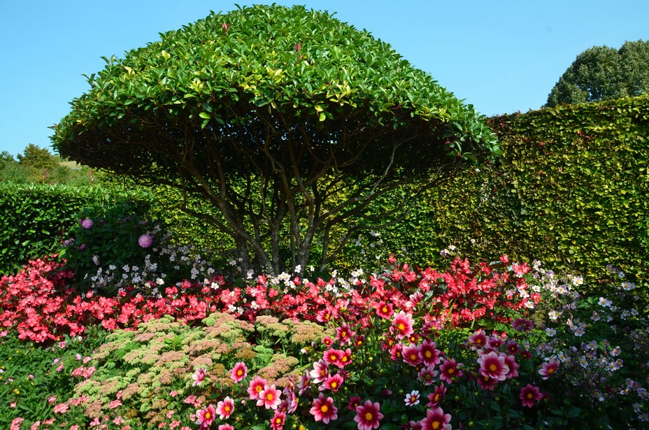 L’impressionnisme américain à Giverny