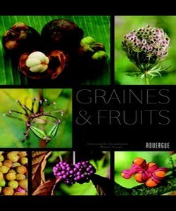 "voyager en lignes" -   Livres en fête  "voyager en lignes" -   Livres en fête