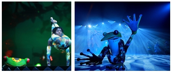 Copyright Cirkafrika Copyright Cirkafrika