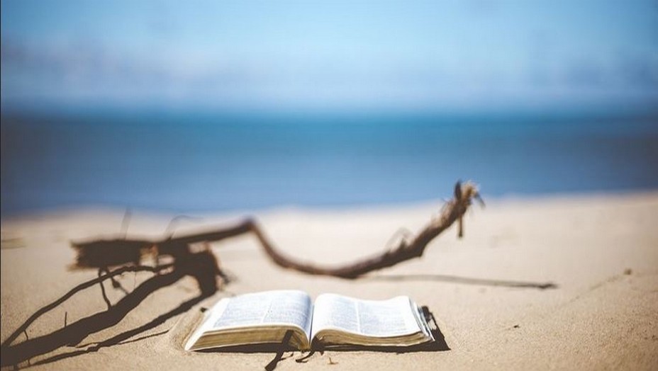 Lire c'est voyager....des livres à offrir... @Pixabay/Lidigomag Lire c'est voyager....des livres à offrir... @Pixabay/Lidigomag