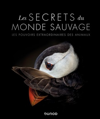 Offrir des beaux-livres pour les fêtes... Offrir des beaux-livres pour les fêtes...