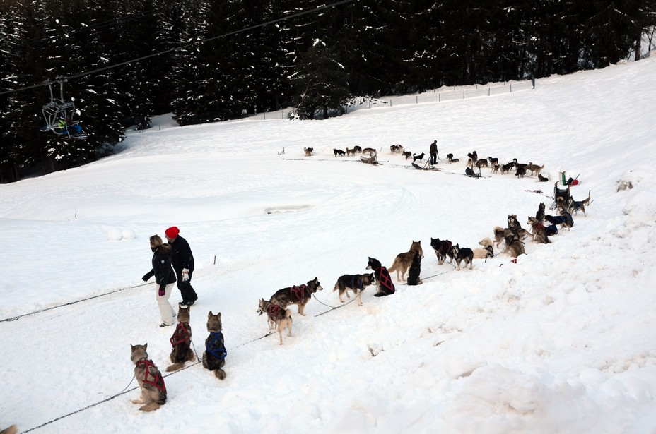 En dehors du ski alpin, créez-vous aux Carroz d’incroyables souvenirs au détour de nombreuses activités : fatbike électrique, luge sur rails, conduite d’attelage de chiens de traîneaux, luge en bande, parapente, patinoire, pisicne à l'Aquacîme © OT David Raynal En dehors du ski alpin, créez-vous aux Carroz d’incroyables souvenirs au détour de nombreuses activités : fatbike électrique, luge sur rails, conduite d’attelage de chiens de traîneaux, luge en bande, parapente, patinoire, pisicne à l'Aquacîme © OT David Raynal