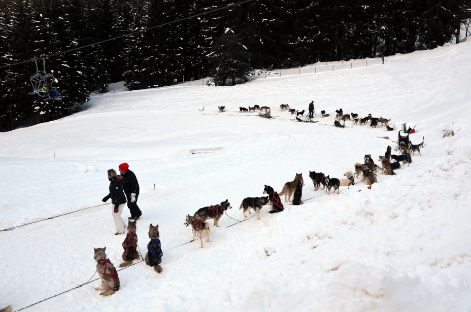 En dehors du ski alpin, créez-vous aux Carroz d’incroyables souvenirs au détour de nombreuses activités : fatbike électrique, luge sur rails, conduite d’attelage de chiens de traîneaux, luge en bande, parapente, patinoire, pisicne à l'Aquacîme © OT David Raynal