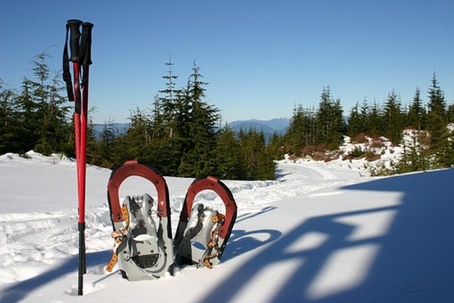 Covid et sports d'hiver, les hébergeurs et les stations s'organisent.