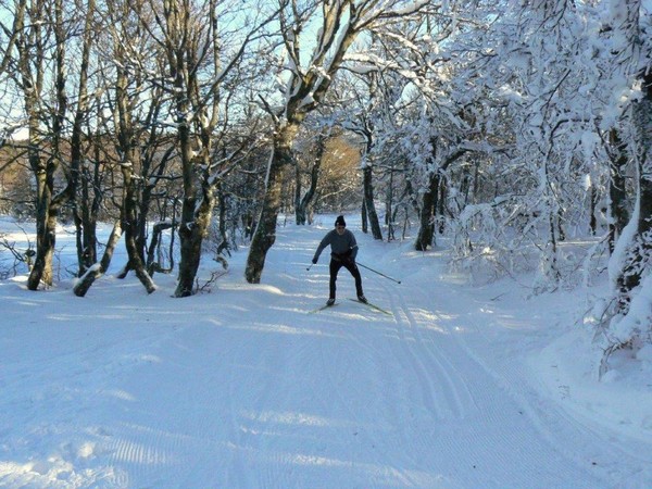 Le ski de fond à la cote @ André Degon