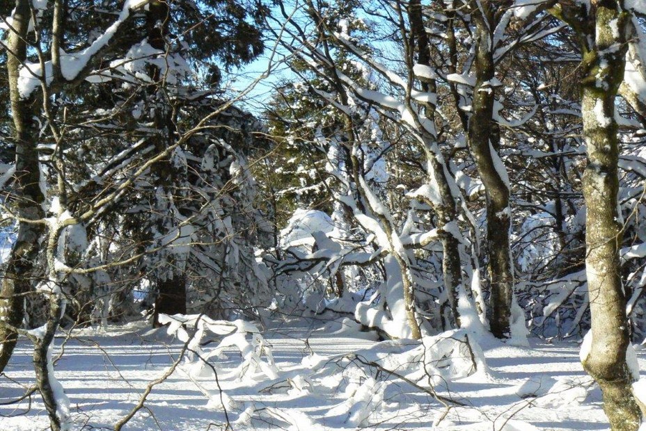 Sans le ski de piste, on peut découvrir la nature. @ André Degon Sans le ski de piste, on peut découvrir la nature. @ André Degon