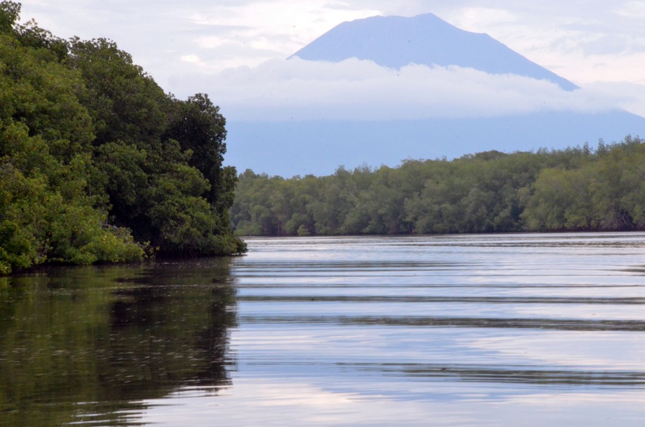 Le Salvador est le plus petit pays d'Amérique centrale et le seul à ne pas avoir de façade maritime sur la mer des Caraïbes. C'est une contrée de volcans, de montagnes, mais aussi de forêts. Sur la photo la réserve de biosphère de la baie de Jiquilisco@ David Raynal